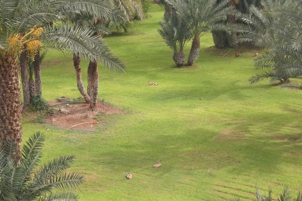 Riad Nolya Luxury Marrakech - Totalement Renove - Capacite Jusqu A 10 Lits Spacieux 马拉喀什 外观 照片